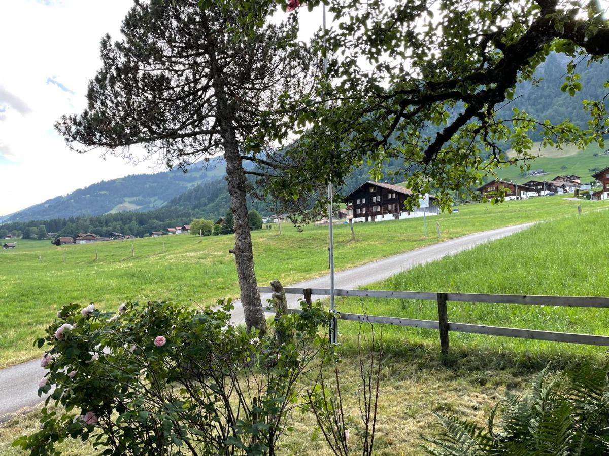 Edelweiss 4 Zi Ferienwohnung In Landhaus Фрутиген Экстерьер фото